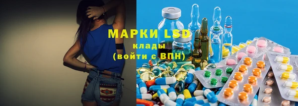 apvp Магас