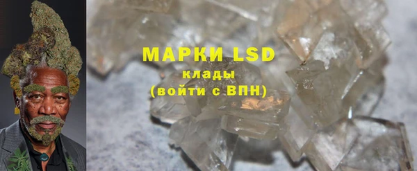 apvp Магас