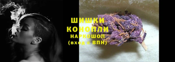 apvp Магас