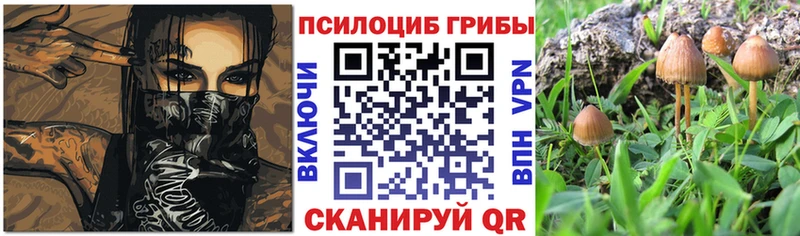 MEGA рабочий сайт Покачи Галлюциногенные грибы мухоморы